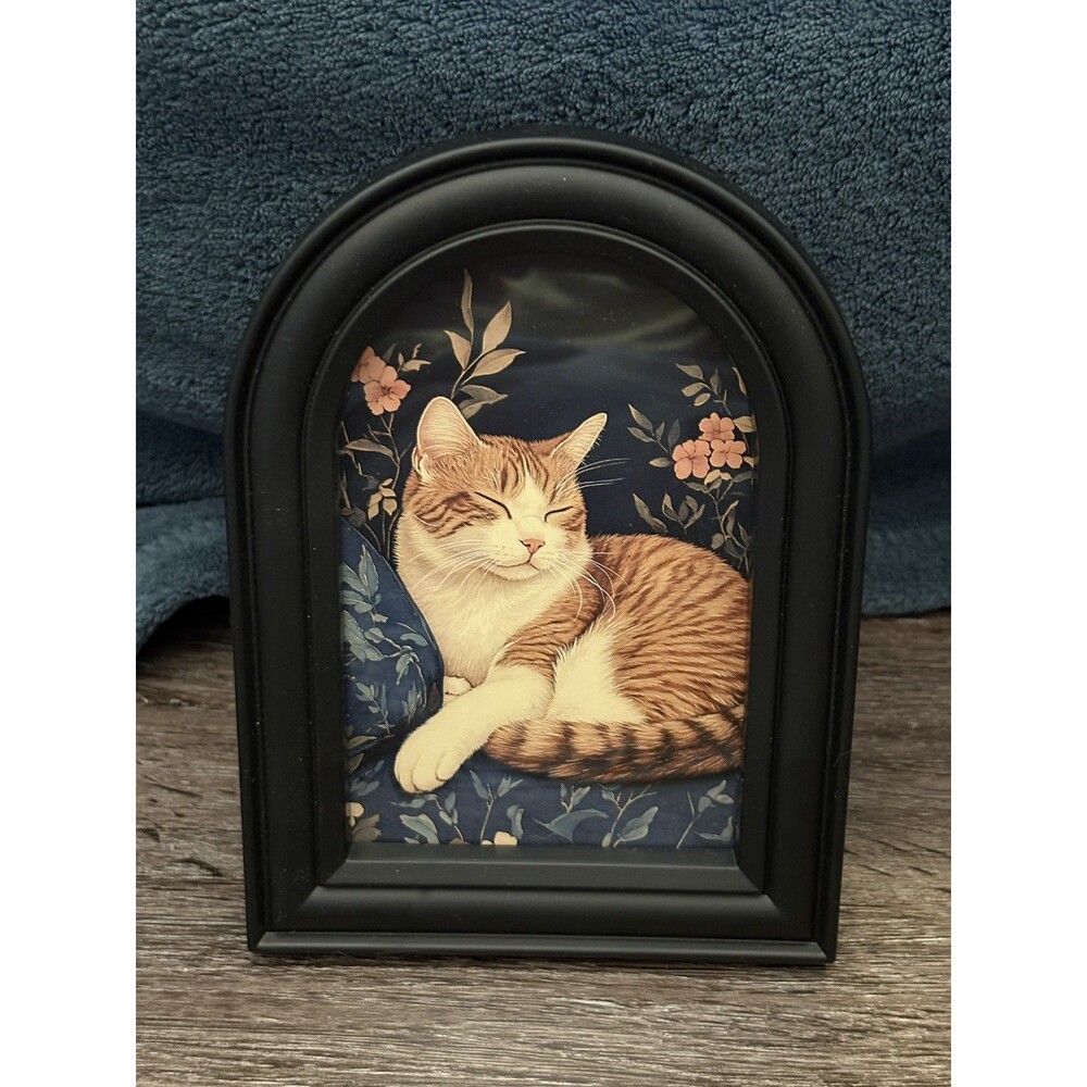Orange White Sleeping Cat Artwork Picture Black Arch 5x7 Frame